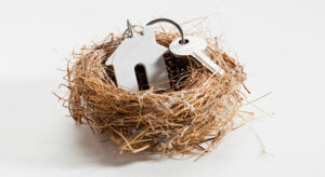 bird nest with house keys in it