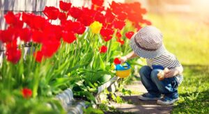 little boy watering flowers